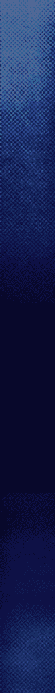 DVS CONSULTING